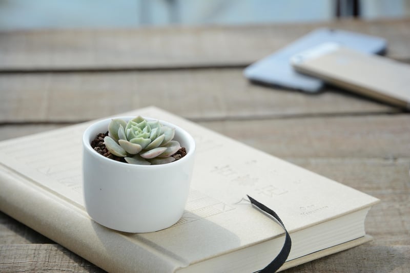Personalized Plant Kit